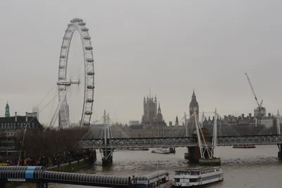 DSC_5820 (Large).JPG